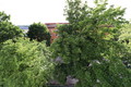 Fotka 21