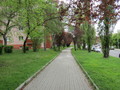 Fotka 7