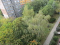 Fotka 12